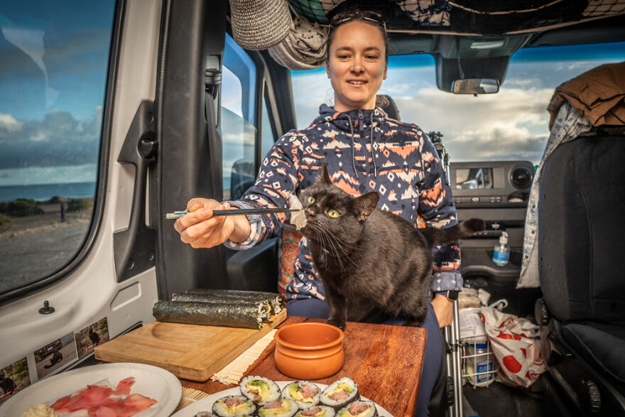 I Started Traveling Around Australia In A Campervan With My Cat Willow, And My Whole Life Changed