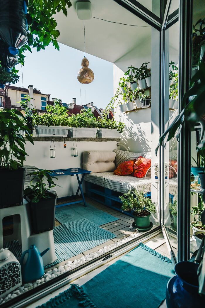 "Inka V Gradinka": My Balcony Garden That Might Inspire You To Make Your Own (14 Pics) "Inka V Gradinka": My Balcony Garden That Might Inspire You To Make Your Own (14 Pics)