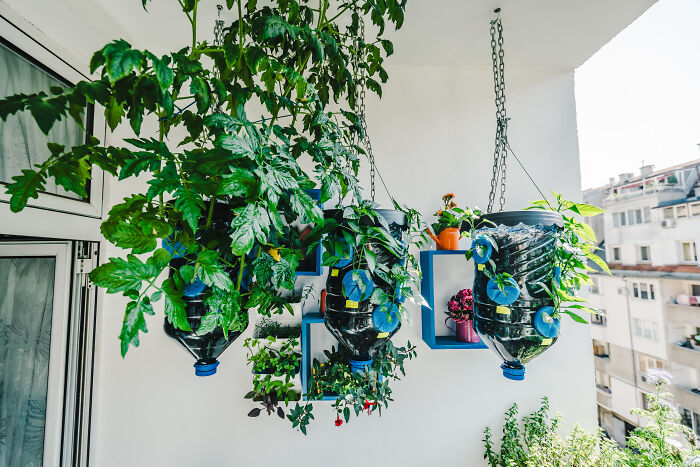 "Inka V Gradinka": My Balcony Garden That Might Inspire You To Make Your Own (14 Pics) "Inka V Gradinka": My Balcony Garden That Might Inspire You To Make Your Own (14 Pics)