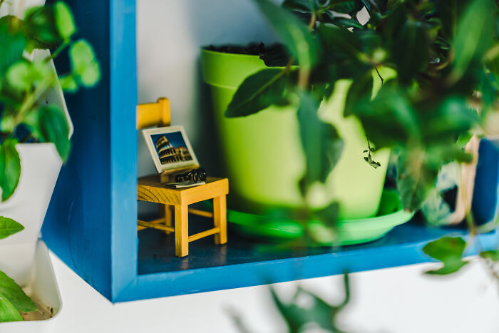 “Inka V Gradinka”: My Balcony Garden That Might Inspire You To Make ...