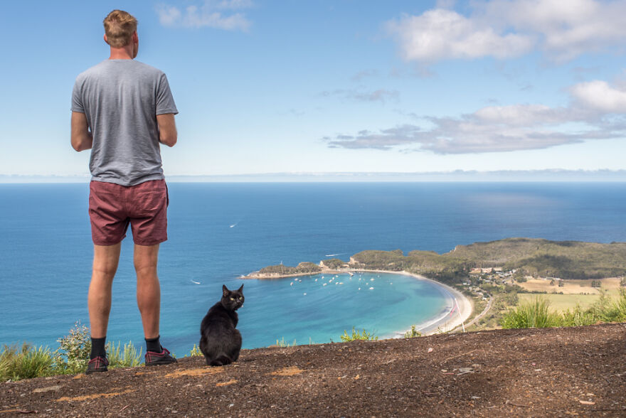 I Started Traveling Around Australia In A Campervan With My Cat Willow, And My Whole Life Changed