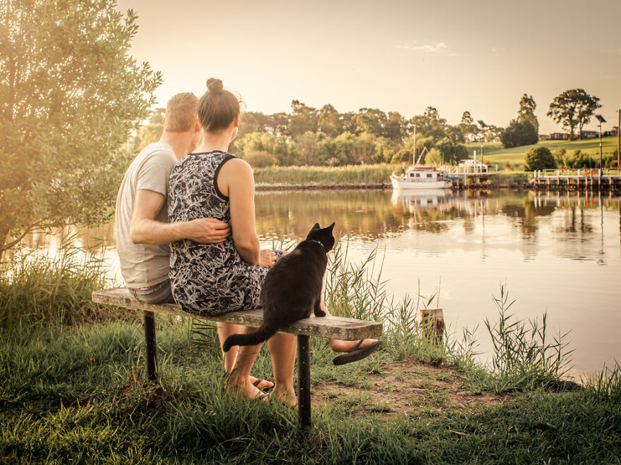 I Started Traveling Around Australia In A Campervan With My Cat Willow, And My Whole Life Changed I Started Traveling Around Australia In A Campervan With My Cat Willow, And My Whole Life Changed