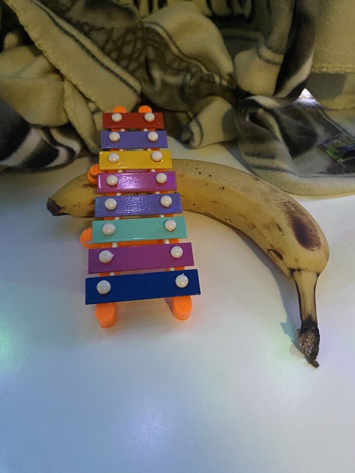 Banana For Scale: Mini Xylophone