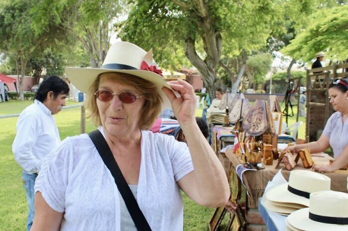 I Took Photos Of Caballo De Paso Peruano I Took Photos Of Caballo De Paso Peruano