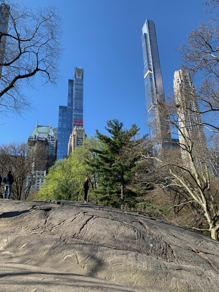 Hey Pandas. Show Me A Picture Of Bisexual Pride Art. My Favorite Will Be Put On The Background Of My Phone.