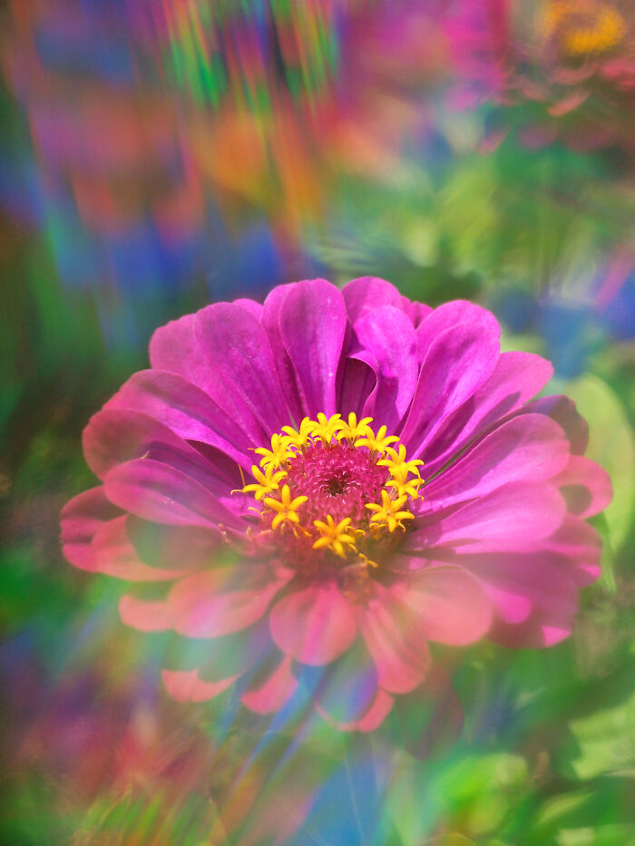 I Create Rainbow-Infused Photography Without The Use Of Photoshop (15 Pics)