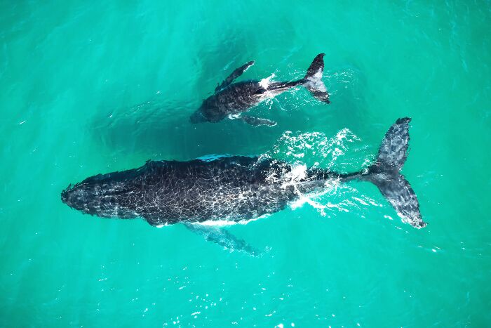 "Mother And Son" By Hadriel Torres