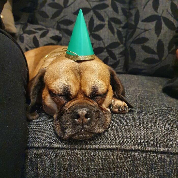 Tired Laka On My Birthday