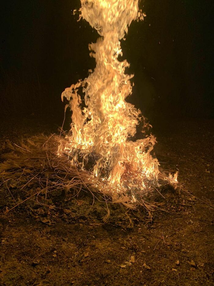 Now This I Call Magical