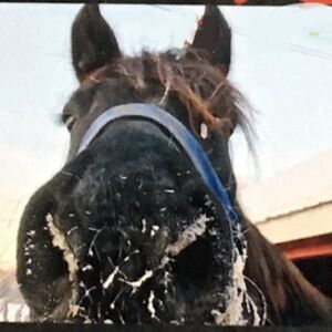 genevieve-provost avatar