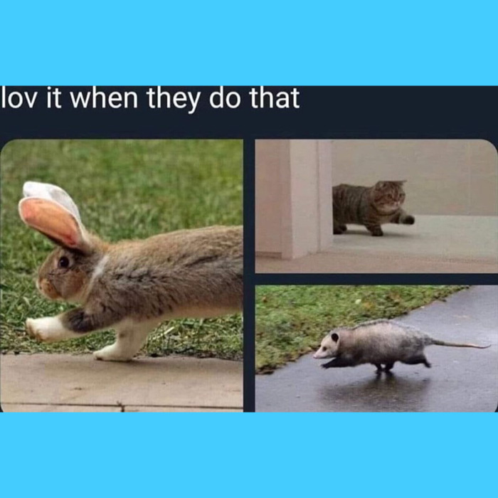 32 Memes I Found In The Dumpster And Your Mom's Basement