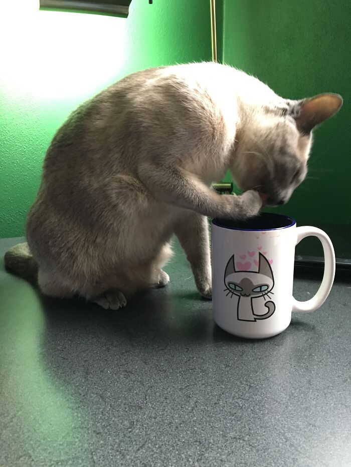 Queen Victoria’s Favorite Mug Too