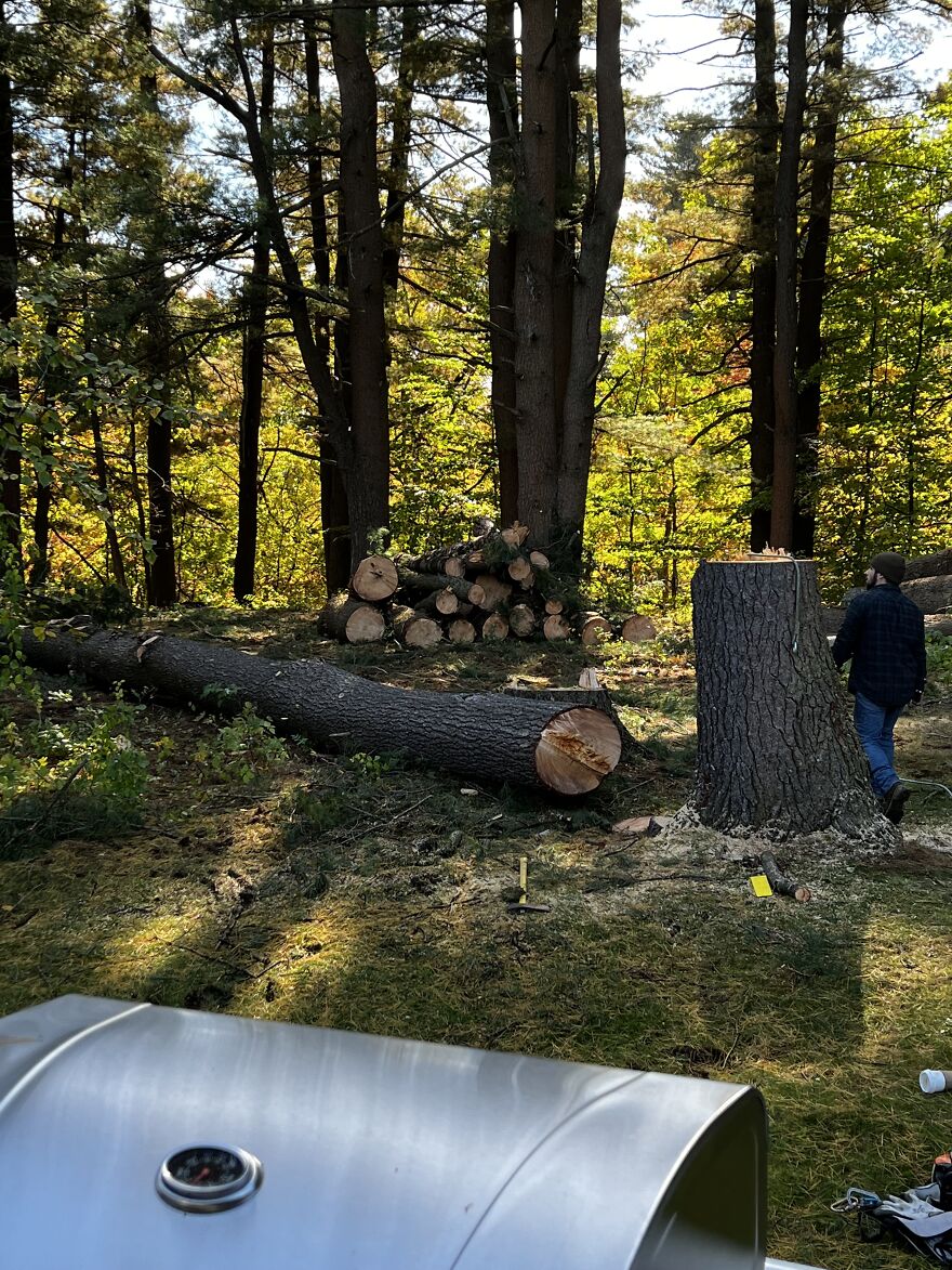 Greedy Neighbor Gets Dosed With Karma Greedy Neighbor Gets Dosed With Karma