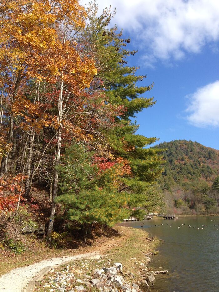 Black Rock Mtn Park In Ga
