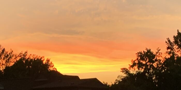 Looks Like Liquid Fire