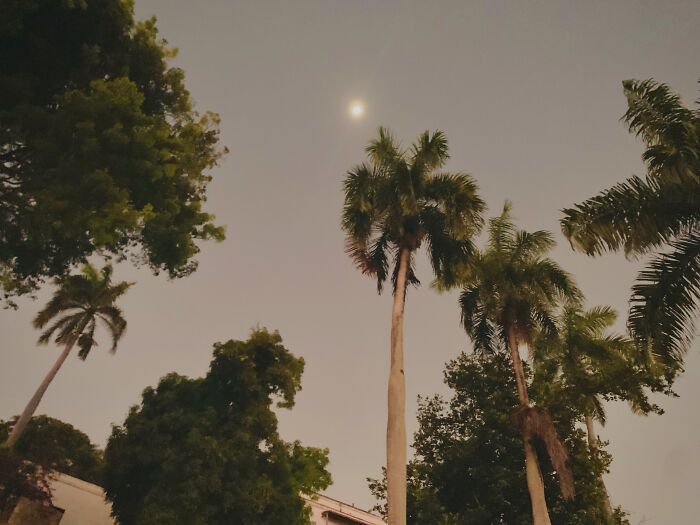 I Took This In Puerto Rico! I Think It Looks Very Aesthetic