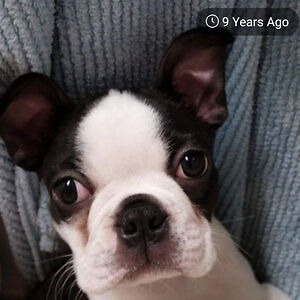 averywalton_1 avatar