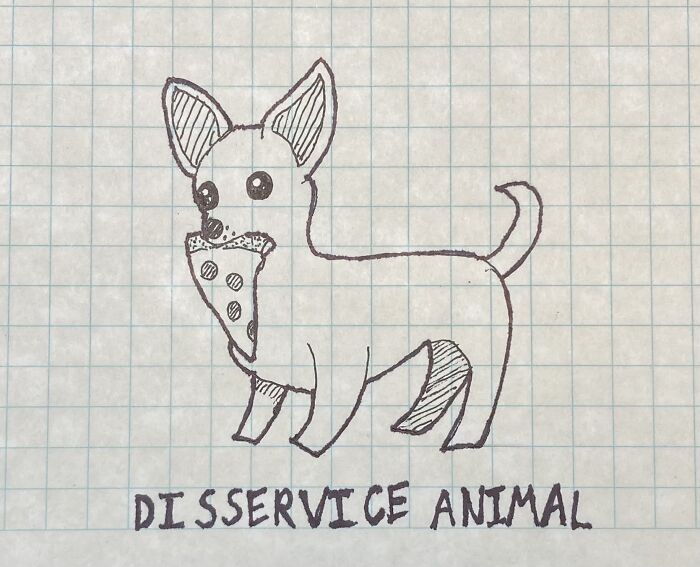 Disservice Animal