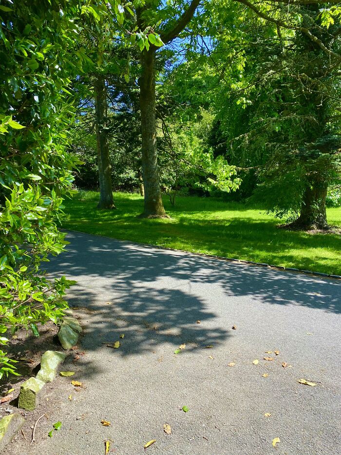Country Park, Scotland