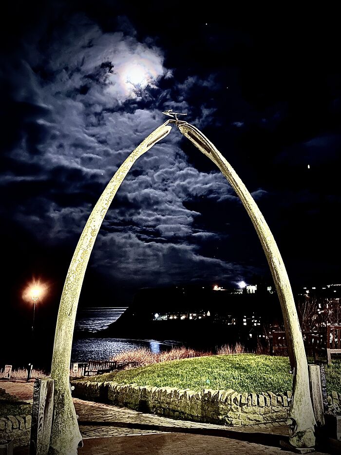 Whale Bone Arches At Night