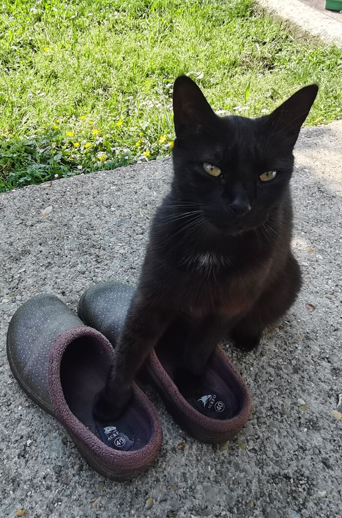 You're Not Going Anywhere