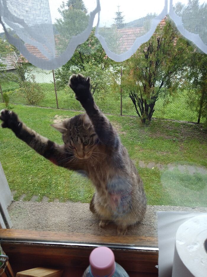 Let Me In!!!!
