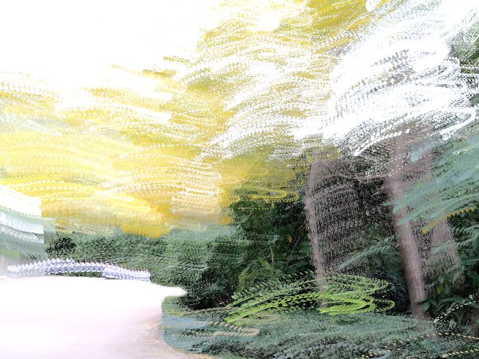 Walking Through A Painted Forest