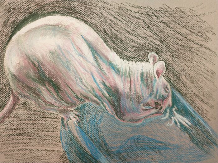 Oracle At The Pool (Delphi Drinking From Her Bowl) Chalk Pastels