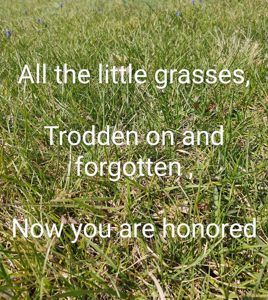 I Wrote Poems To Go With Pictures I Took Of Local Scenery I Wrote Poems To Go With Pictures I Took Of Local Scenery