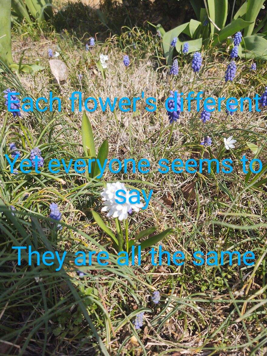 I Wrote Poems To Go With Pictures I Took Of Local Scenery I Wrote Poems To Go With Pictures I Took Of Local Scenery