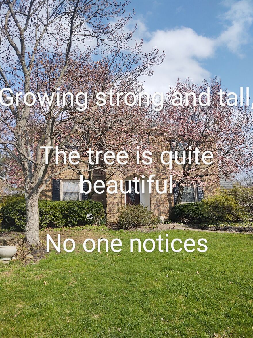 I Wrote Poems To Go With Pictures I Took Of Local Scenery