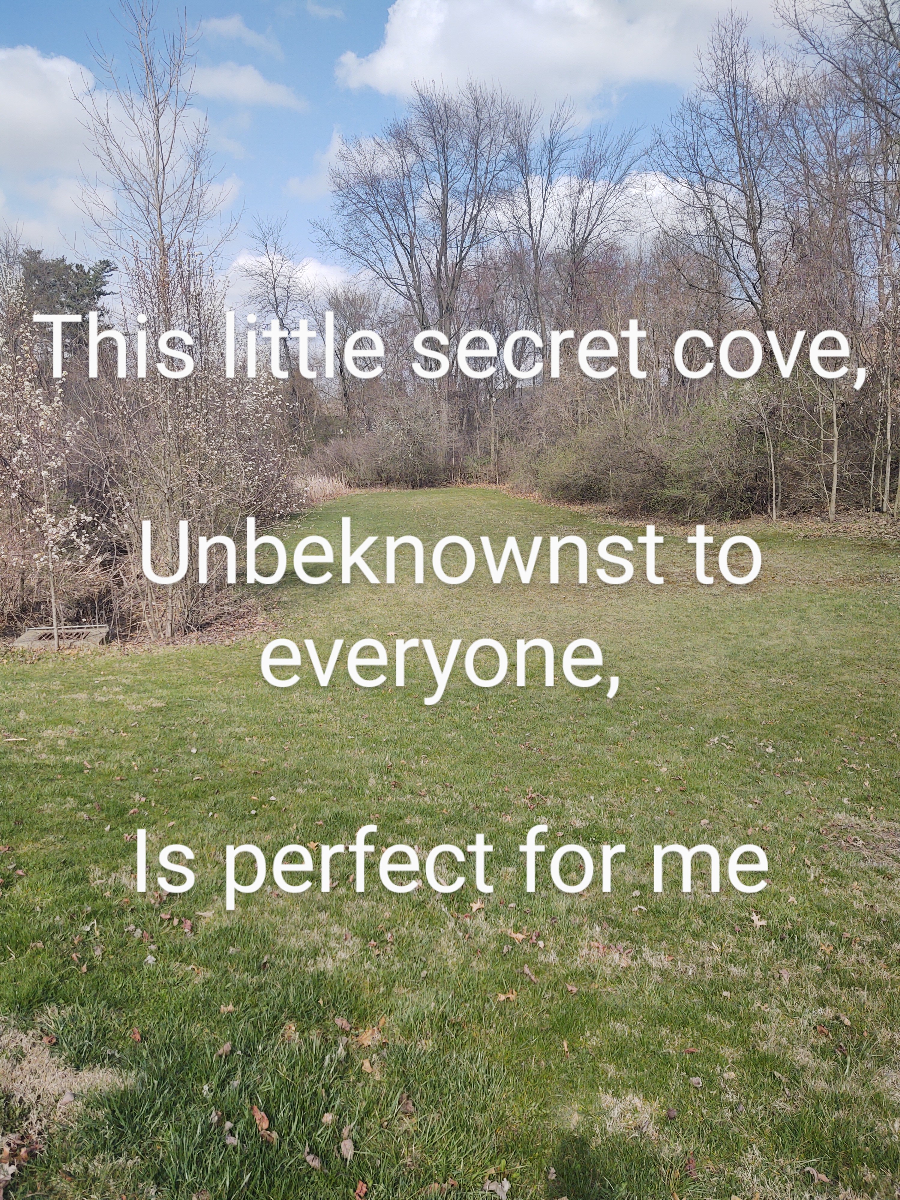 I Wrote A Series.of Haikus To Go With Photos Of.local Scenery I Took