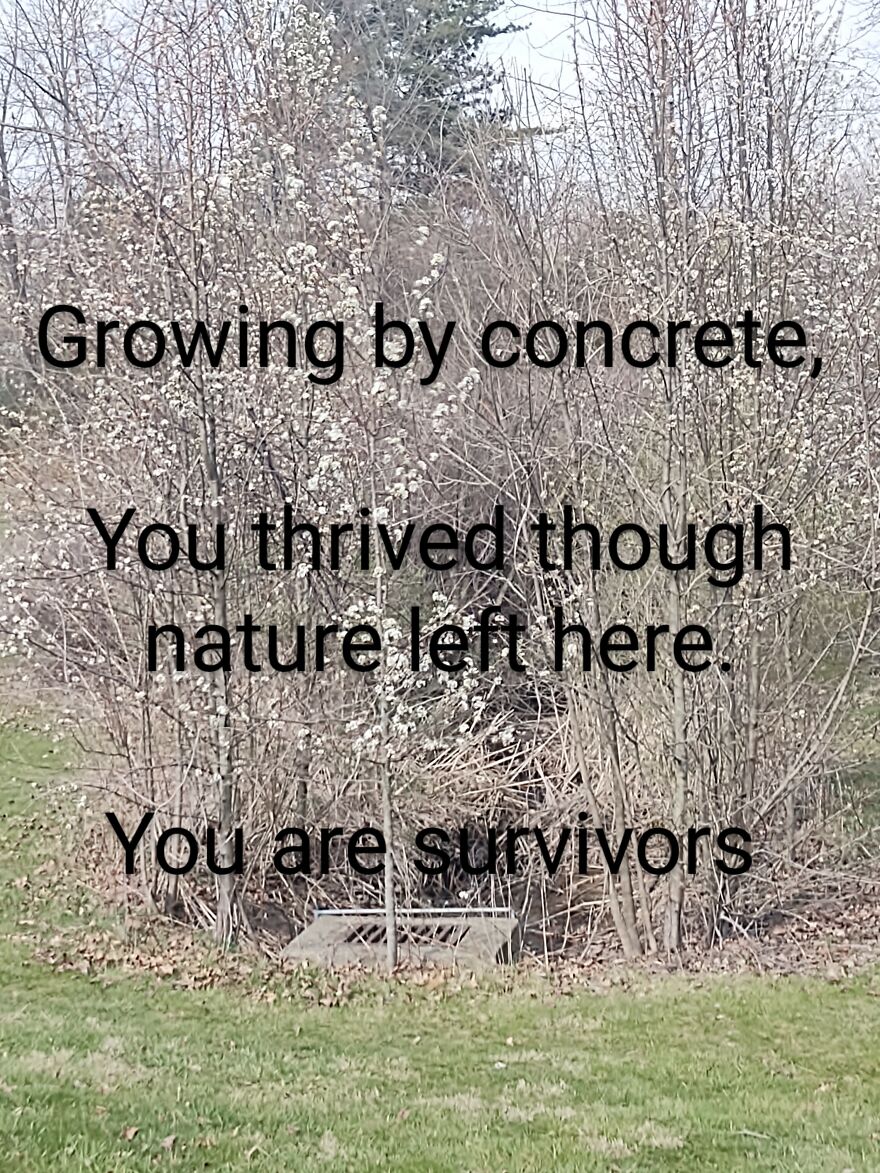 I Wrote Poems To Go With Pictures I Took Of Local Scenery I Wrote Poems To Go With Pictures I Took Of Local Scenery