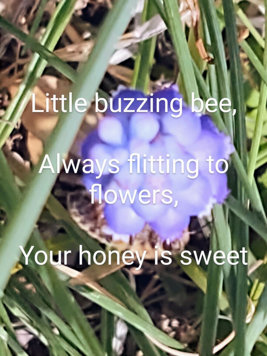 I Wrote Poems To Go With Pictures I Took Of Local Scenery I Wrote Poems To Go With Pictures I Took Of Local Scenery