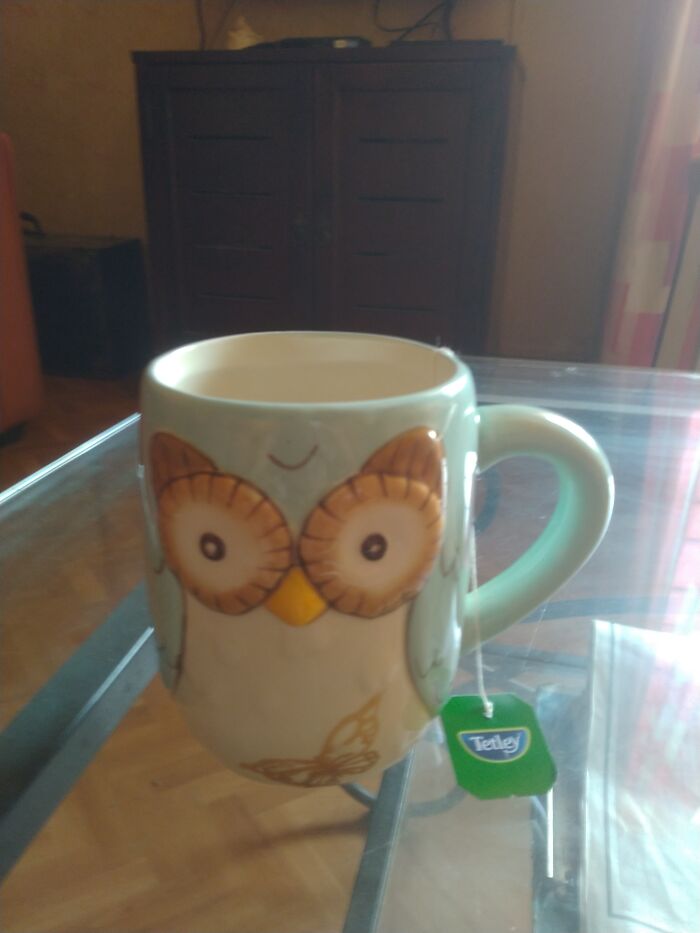 My Owl Mug