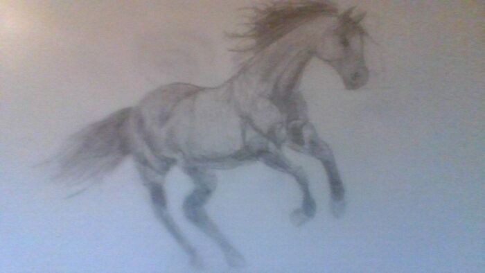 My Third Ever Horse Drawing