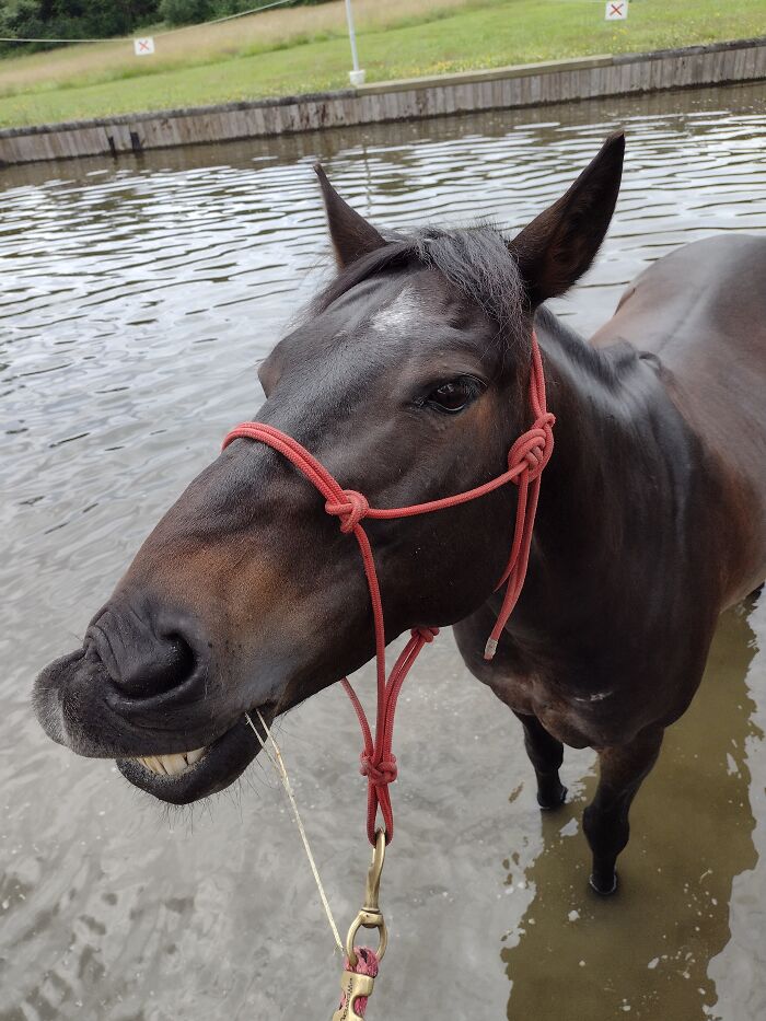 My Pony Looooves The Water