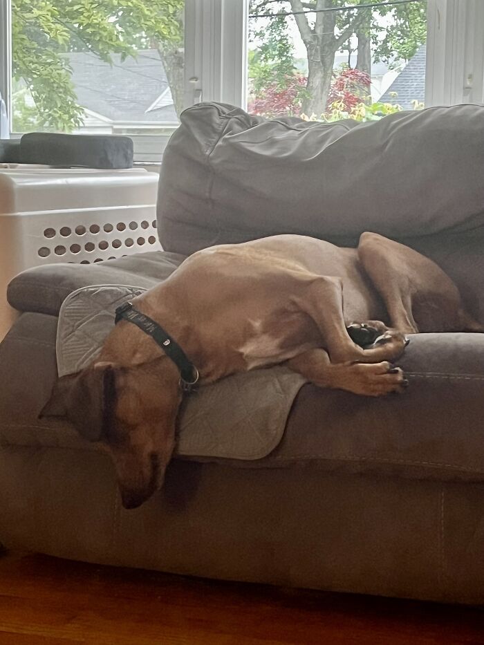 Stayed Like This For Half An Hour…