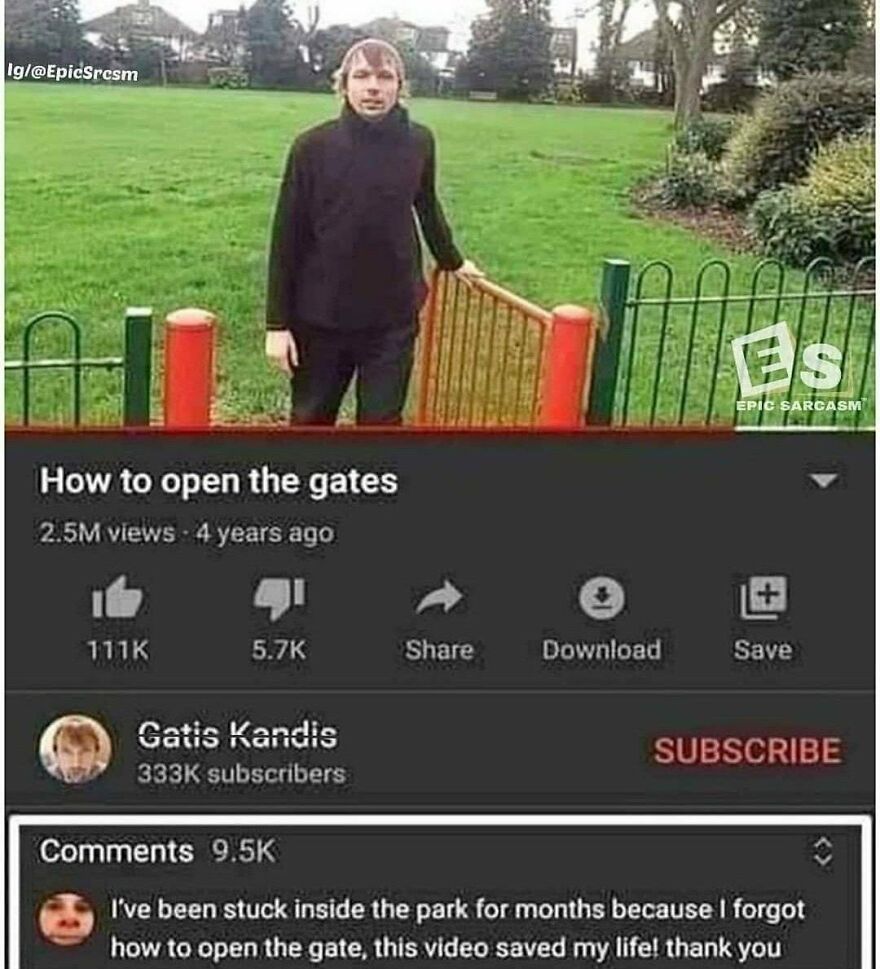 28 More Memes I Found In My 2004 Prius And In Bored Panda