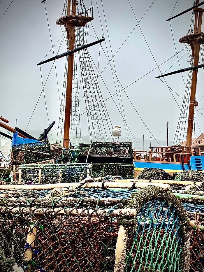 Captain Cook’s Ship