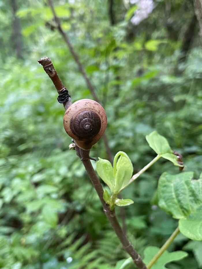 My Daughter Took This On A Local Trail. I Couldn't Believe How Perfect The Shot Came Out