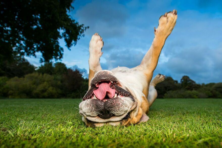 When Mom Says “Go Touch Grass”