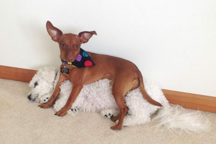 He Claims To Be The “Favourite” Child