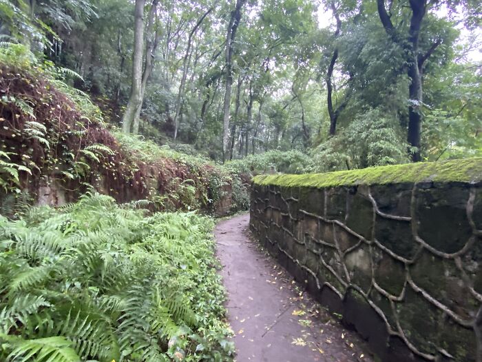 Walking A Nature Trail In China, Listening To A 1973 Grateful (Unalive) Concert