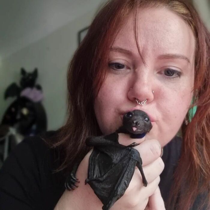 This Wildlife Vet Nurse Rescues And Rehabilitates Orphaned Baby Bats This Wildlife Vet Nurse Rescues And Rehabilitates Orphaned Baby Bats