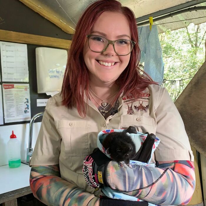 This Wildlife Vet Nurse Rescues And Rehabilitates Orphaned Baby Bats This Wildlife Vet Nurse Rescues And Rehabilitates Orphaned Baby Bats