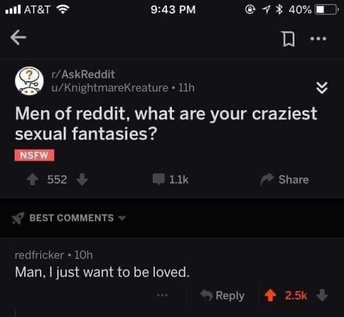 Reddit meme from Meme Lord account, featuring a humorous comment about wanting to be loved.