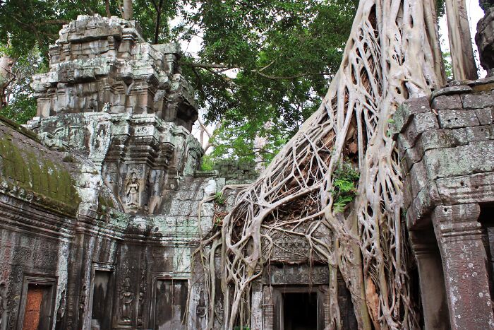 Ta Prohm In Cambodia
