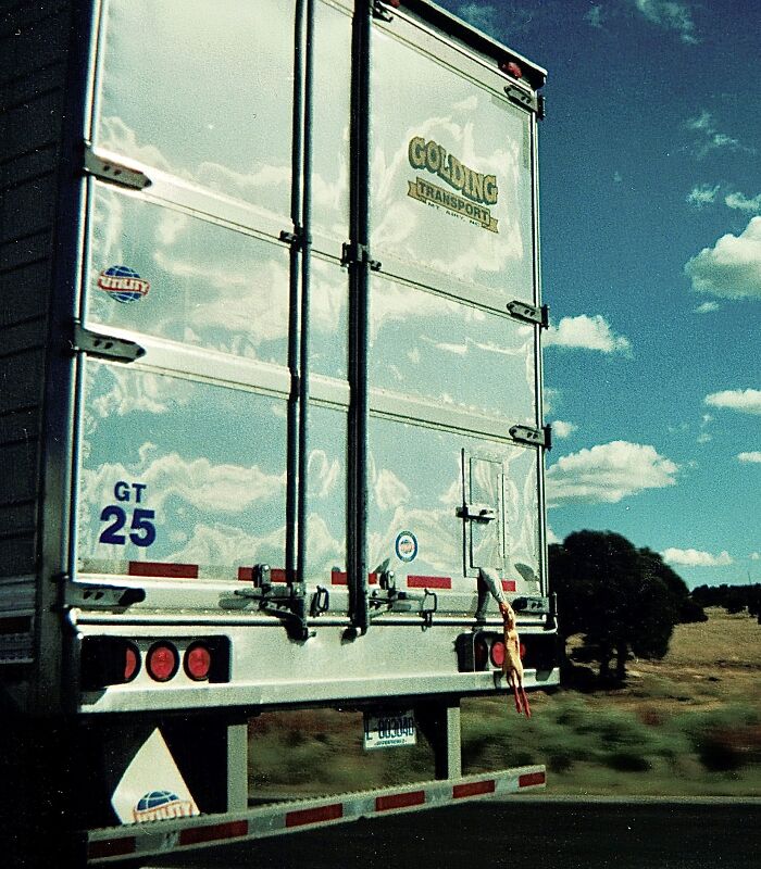 Meanwhile In New Mexico, A Chicken Tries To Make An Escape…