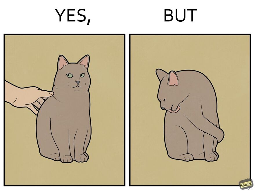 19 Comics By Artist Antоn Gudim From The "Yes, But" Series, Dedicated Exclusively To Dogs And Cats